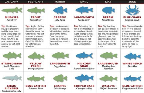2017 Virginia Fishing Forecast Game And Fish
