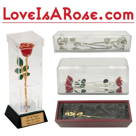 Roses In Display Cases Love Is A Rose