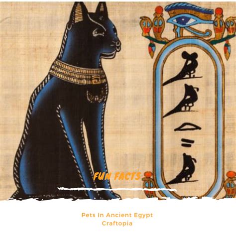 for all the cat lovers out there cats ancientegypt history mythology godsofegypt bastet