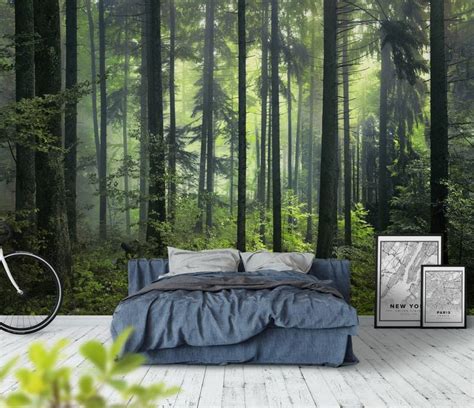 Mysterious Forest Wallpaper Forest Wallpaper Forest Theme Bedroom