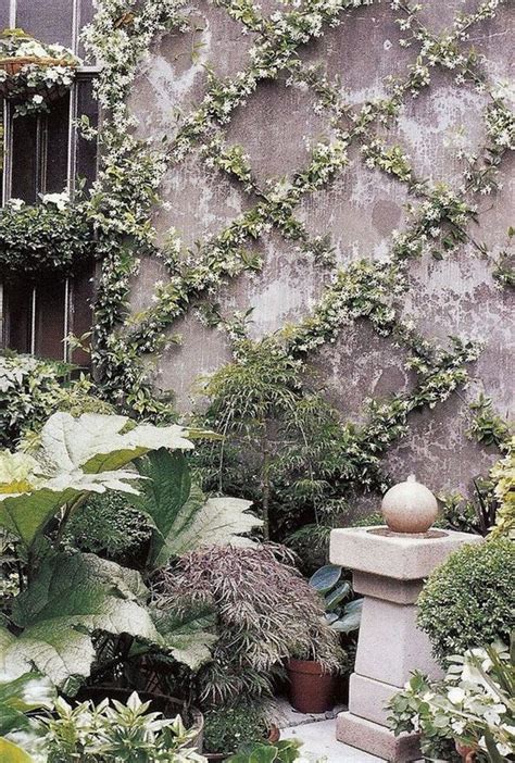 Climbing Plants 12 Ideas For Arranging The Garden With Them My