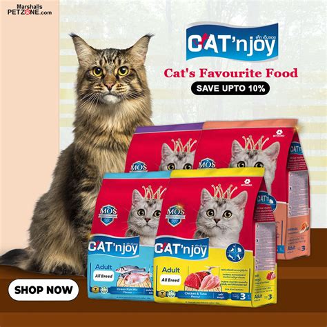 Cats Favourite Catnjoy Food Up To 10 Off In 2020 Dry Cat Food