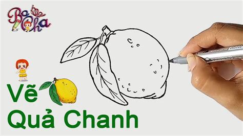 V Qu Chanh V T M U V Tr I C Y Bocha Draw Lemon Youtube