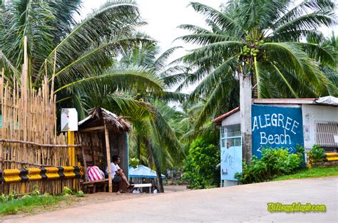 Agta Beach Resort Biliran Picture Gallery Sights And Scenes