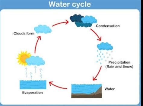 Flow Chart Of Water Cycle