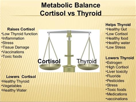 Thyroid Stress And Adrenals