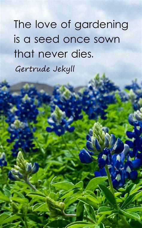 Top 50 Gardening Quotes And Sayings With Images