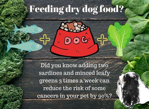 The fda is investigating more than 500 reports that appear to link dog foods that are marketed as grain free to canine dilated cardiomyopathy. What is the best dog food for my dog since the FDA ...