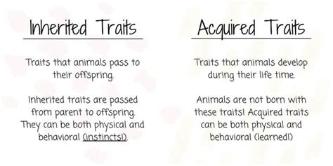 Inherited And Acquired Traits Worksheet