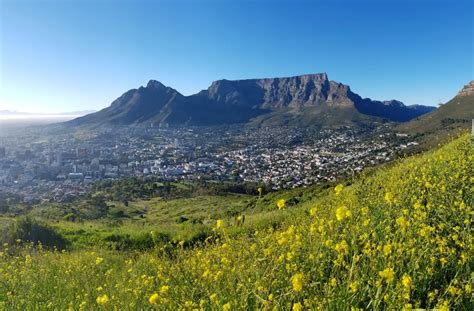 Best Time To Visit Cape Town South Africa Cape Town With Kids