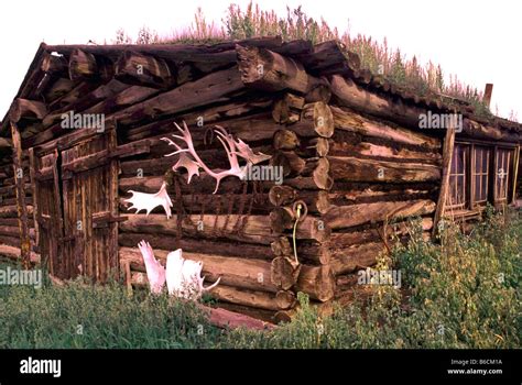 An Old Log Cabin With Sod Roof And Antlers In Carmacks Yukon Territory