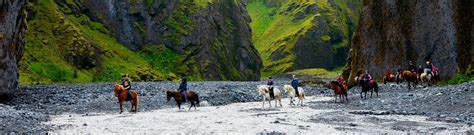 Eld Hestar Volcano Horses Icelandic Adventures Tours In Iceland