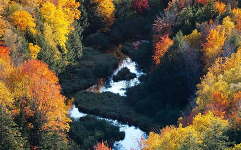 Download Wallpaper 2560x1600 Forest River Aerial View Autumn Trees