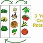 Organic Crop Rotation Chart