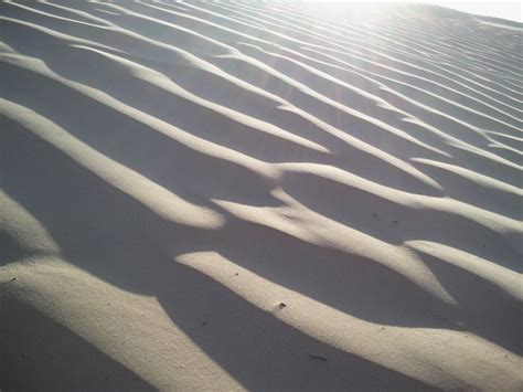 Free Images Landscape Sand Wing Light Sun White Desert Dune