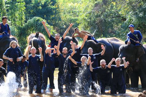 elephants spa private tour guide in chiang mai thailand thai basic stay