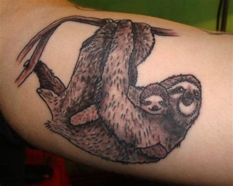 More Sloths Sloth Tattoo Tattoos Gallery Animal Tattoo
