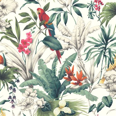 Bird Of Paradise Parrot Accessorize Wallpaper In Red Pink