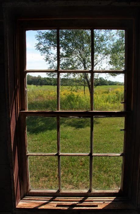 Taken In Door County Wisconsin From Inside An Old Cabin Looking Out