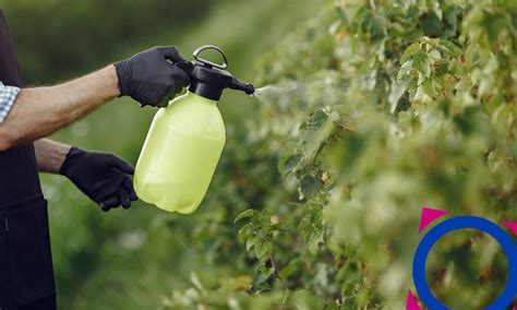 ¿qué Es El Control Fitosanitario De Jardines Innova2 Limpieza