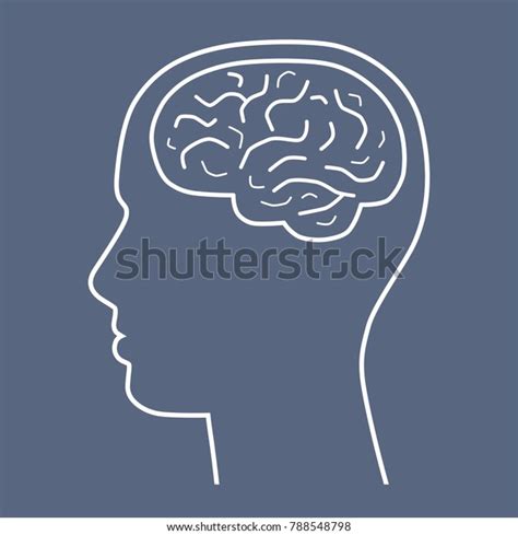 Mans Head Brain Stock Vector Royalty Free 788548798 Shutterstock