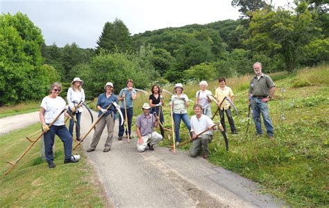 What Is A Meadow Moor Meadows