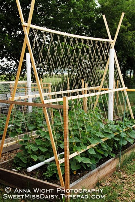Building trellises and supports for climbing vegetables. 15 Easy DIY Cucumber Trellis Ideas - A Piece Of Rainbow