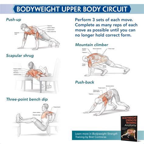 Bodyweight Upper Body Circuit Human Kinetics Canada