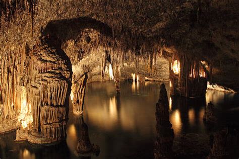 See more of drachenlord fanclub on facebook. Cuevas del Drach, the 'dragon caves' of Mallorca