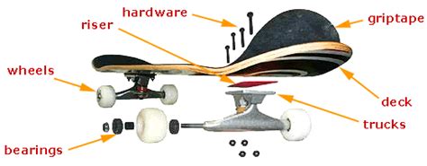 Different Parts Of The Skateboard