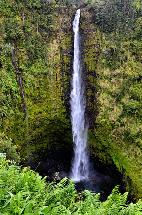 ‘akaka Falls State Park Near Honomu Island Of Hawaii Hawaii