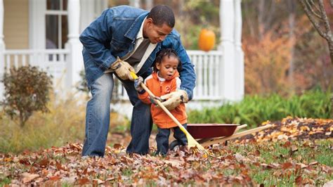 Preparing Your Yard For Winter