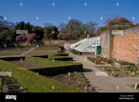 Box Wood Hedging In The Walled Garden At Heligan Stock Photo Alamy