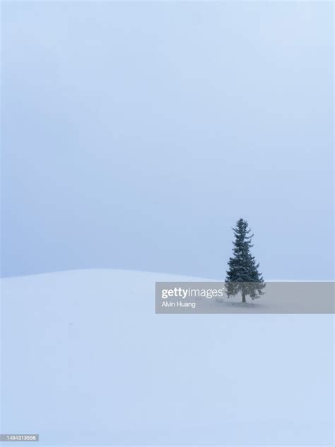 In Winter The Entire Plain Of Biei Town In Hokkaido Is Covered With