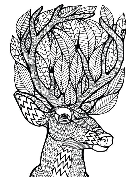 Coloring pages coloring books for kindergarten pages. Deer Coloring Pages For Adults at GetDrawings | Free download