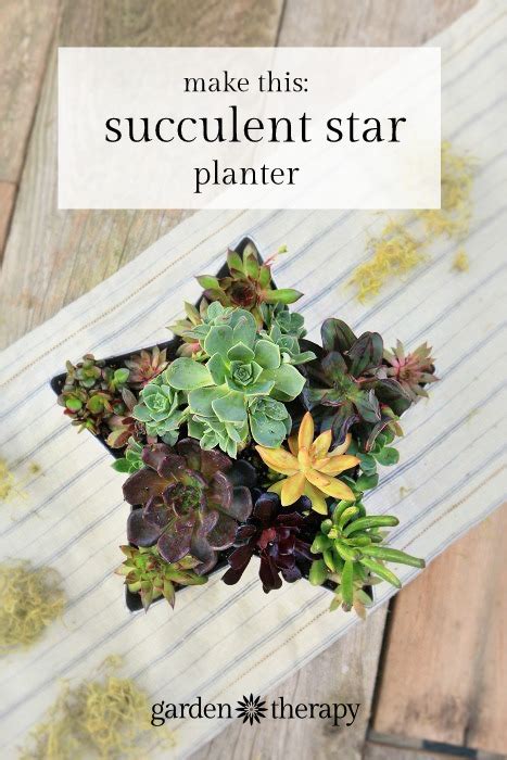 Succulent Star Outdoor Wall Planter Or Table Decor Diy