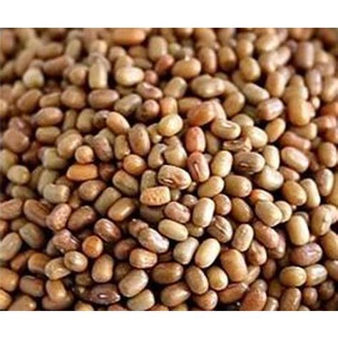 Rich In Carbohydrate Natural Brown Moong Mogar Dal Crop Year 1 Months