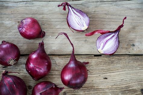 Red Burgundy Onion Seeds — San Diego Seed Company