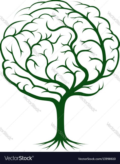 Brain Tree Royalty Free Vector Image Vectorstock