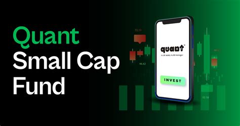 Quant Small Cap Fund Is It A Good Investment Option