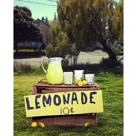 summer lemonade stand printed backdrop summer lemonade lemonade stand printed backdrops
