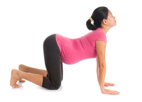 Labor Prep Stretches And Exercises That ‘deliver Fitness 19 Gyms