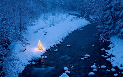 River Christmas Trees Snow Christmas Tree Forest Wallpapers Hd