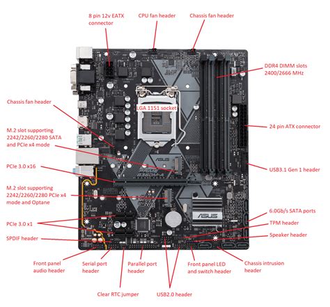 Boamot 493 Stone Asus B360m A Motherboard Specification Layout