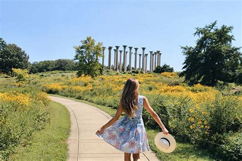 What To See And Do At The Us National Arboretum In Washington Dc