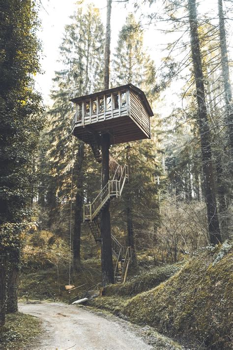5 Beautiful Treehouse Designs You'll Love | Renovated