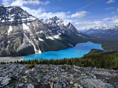 Обои Peyto Lake Banff National Park Canadian Rockies бесплатные