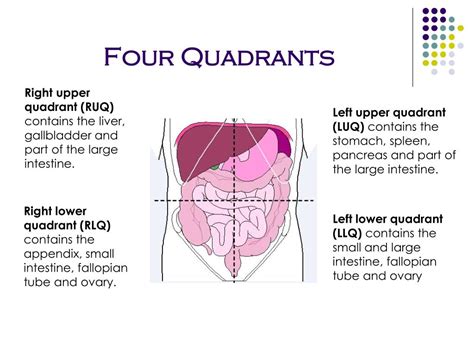 Pain Left Quadrant Lower Abdomen