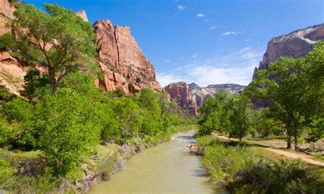 The virgin river chub feeds on small fish, insects, and plant matter. Virgin River in Utah - AllTrips