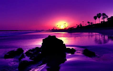 Purple Sunset Wallpaper Nature And Landscape Wallpaper Better